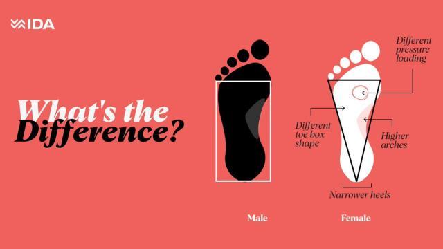 1687920275733015307.jpeg FukqzBqWAAAUuo9.jpeg